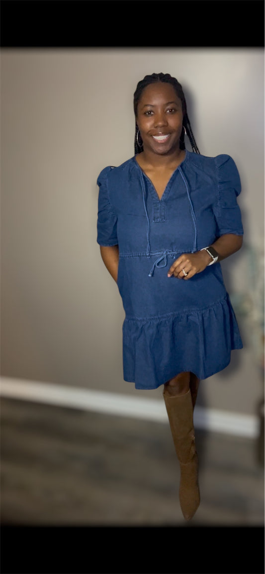Mini Denim Dress